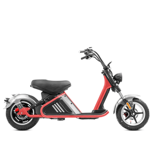 M2 fat tire citycoco scooter