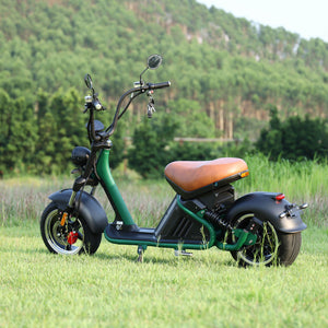 electric moped 40Ah