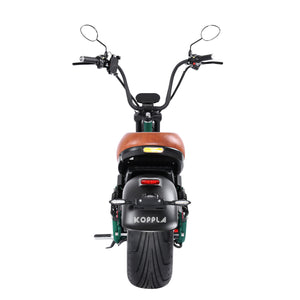 20Ah electric moped