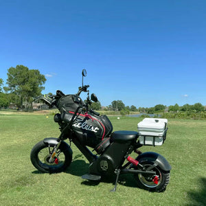 electric golf scooter